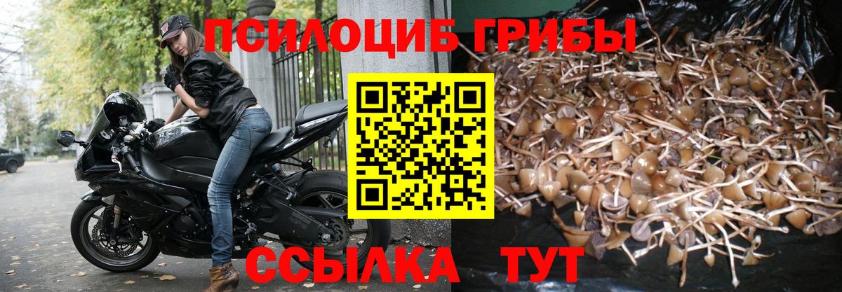 Псилоцибиновые грибы прущие грибы  Вход с VPN  Южноуральск 